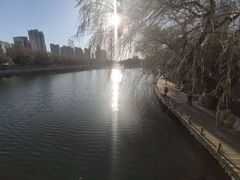 景点-沈阳南湖公园