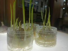 -世纪飞马幼儿园(西城校区)