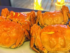 清蒸大闸蟹-蟹榭·本帮江浙菜·蟹宴(五角场合生汇商场店)