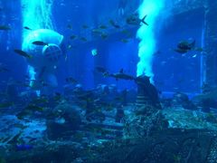 -亚特兰蒂斯•OSSIANO奥西亚诺海底餐厅