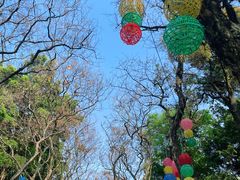 -广州市白云山风景名胜区