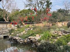 -三圣花乡旅游区