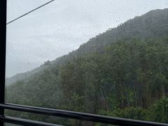 -呀诺达热带雨林