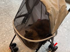 -星巴克(深圳招商中环分店)