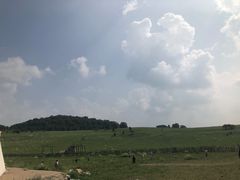 -乌兰布统草原