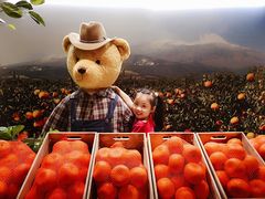 -济州岛泰迪熊博物馆