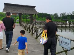 -溱湖国家湿地公园