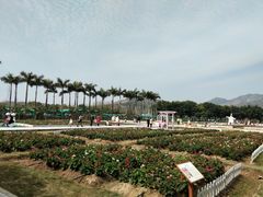 -盈香心动乐园