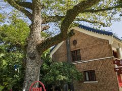 -广州中山纪念堂