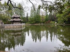 -习家池