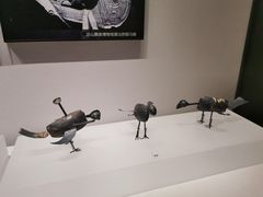 -四川大学博物馆
