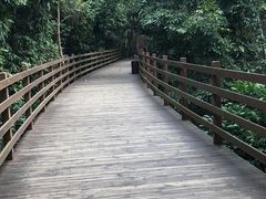 -野象谷景区