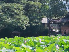 -兰亭风景区
