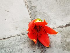 -晓港公园
