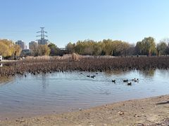 -太阳宫公园