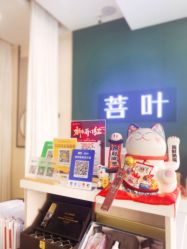 -菩叶脱发白发中心