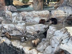 -珠海长隆海洋王国