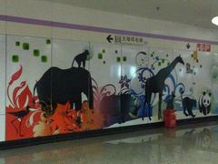 -上海动物园(地铁站)