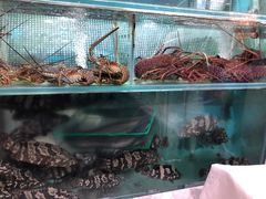 -富临皇宫(窝打老道店)