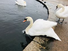 -海德公园
