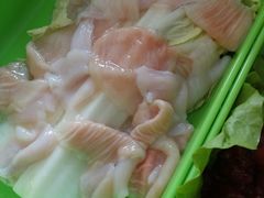 -蚝专家