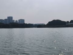 -洋湖国家湿地公园