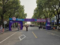 -高东镇樱花园