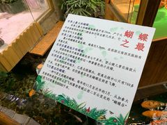 -上海大自然野生昆虫馆(东方明珠·爬宠昆虫探索中心)