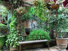 -The Grounds of Alexandria