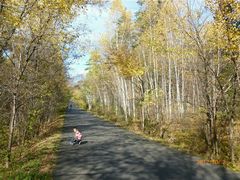 -五营红松林海景区