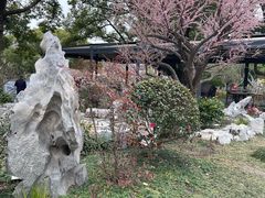 -无锡梅园公园