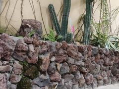-正佳雨林生态植物园