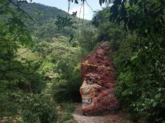 -南海湾森林生态园
