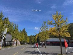 -洛阳白云山景区