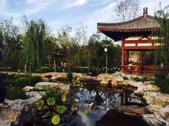 -武清南湖绿博园