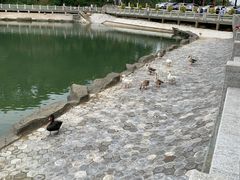 -广州市帽峰山景区