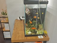 -会麦二手奢侈品包包手表回收寄卖(八佰伴店)