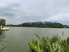 -华侨城湿地公园