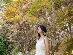 -合肥滨湖国家森林公园