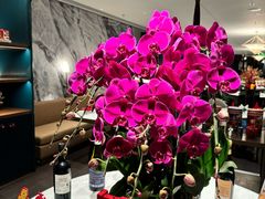 -珍呈中餐厅•粤川淮扬新疆(乌鲁木齐康莱德酒店)