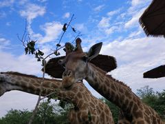 -济南野生动物世界