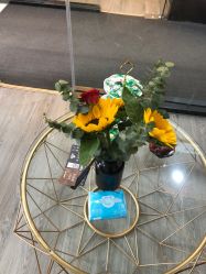 -DEM缔怡美科技美容