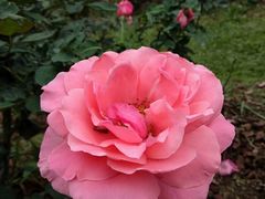 -人民公园(罗湖区)