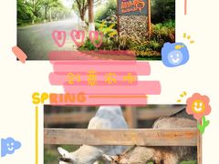 -前小桔亲子创意农场·草莓采摘·露营烧烤