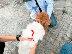 -星巴克(珠海仁恒滨海中心店)