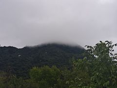 -秦岭风景区