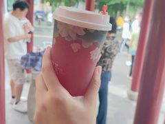 -鸡鸣赐茶(鸡鸣寺路店)
