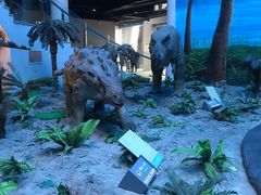 -辽宁古生物博物馆