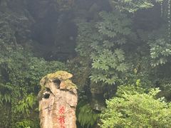 -杭州黄龙洞