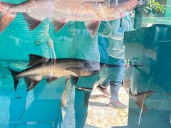 -漓江又一軒·广西菜·桂林米粉(梅林店)